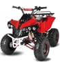 Nitro detská štvorkolka Warrior Sport S8 125 cc červená