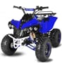 Nitro detská štvorkolka Warrior Sport S8 125 cc modrá