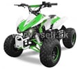 Stupačky Speedy, Monster, Speedbird, Panthera 110cc, 125cc