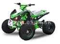 Kompletná kapotáž Speedy, Monster, Speedbird, Panthera 110cc, 125cc zelená